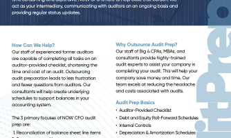 Audit Preparation Expertise One Sheet
