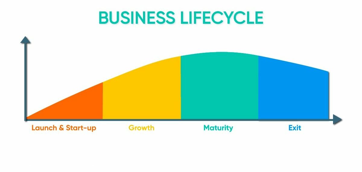 the business lifecycle stages funding growth and financial services