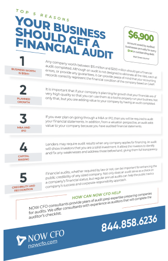 Your Business should geta financial audit