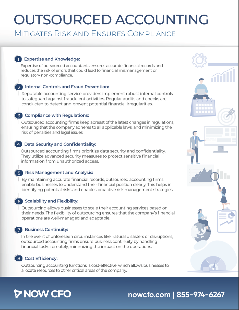 Risk Mitigation and Compliance - NOW CFO