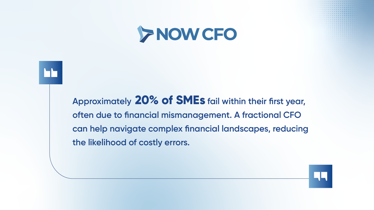 Fractional CFO Services Facts