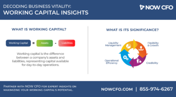 Working Capital Insights 02