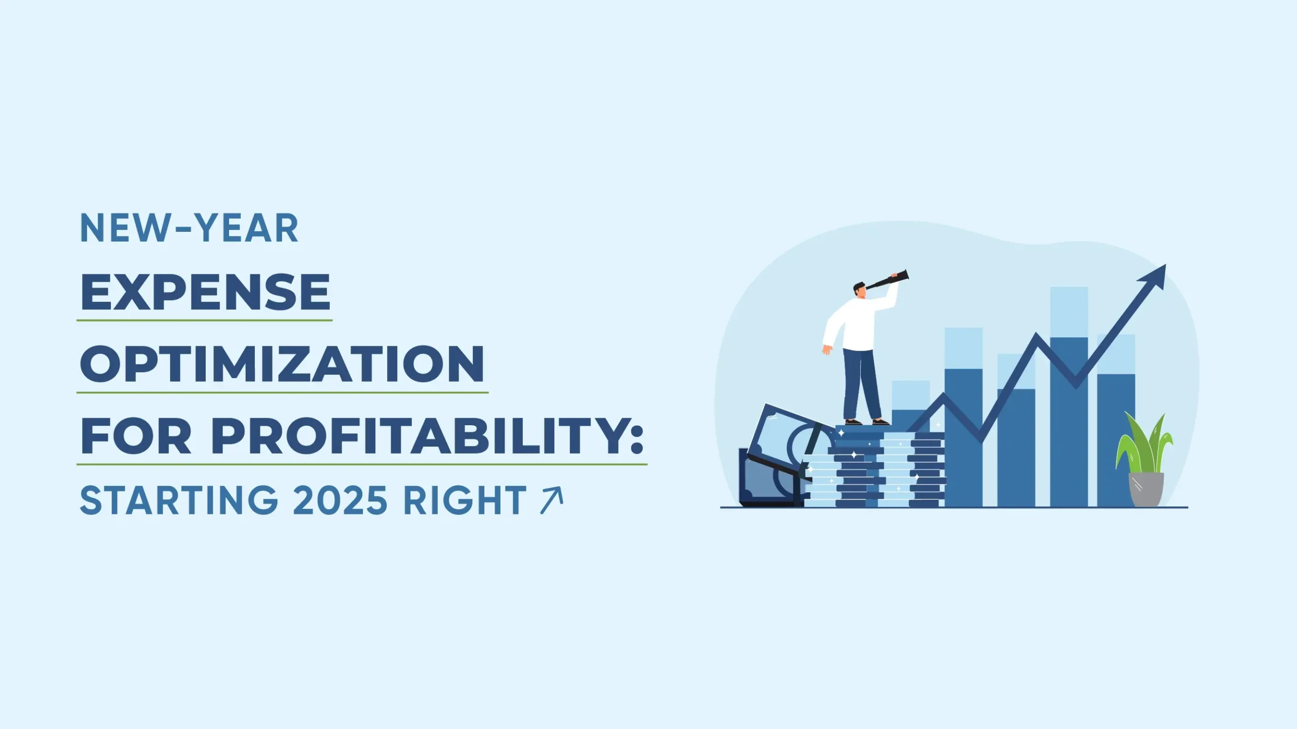New-Year Expense Optimization For Profitability