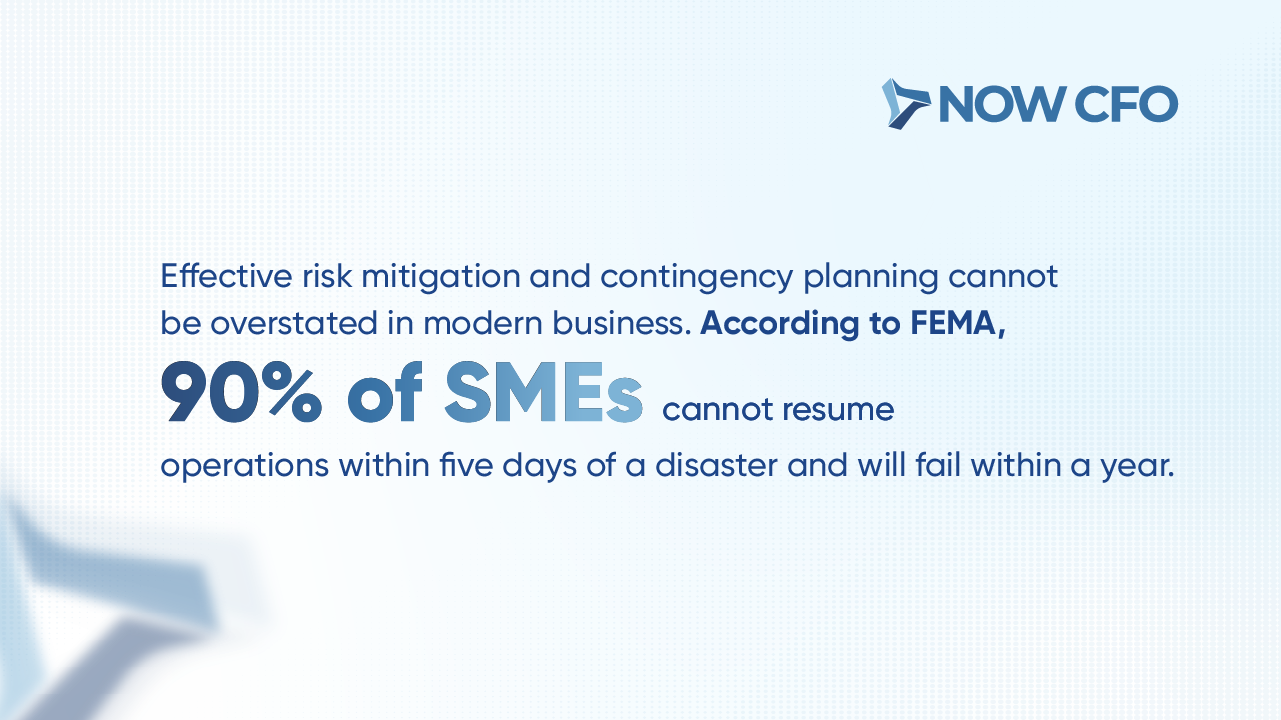 Fractional CFO In Risk Mitigation And Contingency Planning