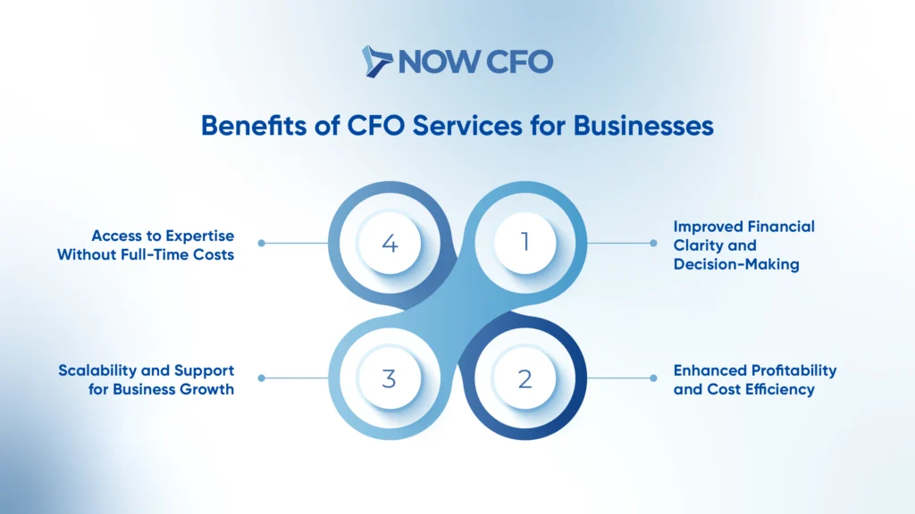 What Are CFO Services and How Do They Work Infographics