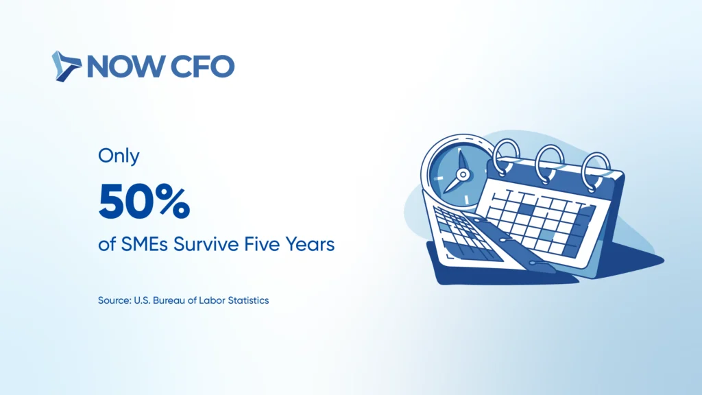 Why Startups Should Consider CFO Services Early On Stats