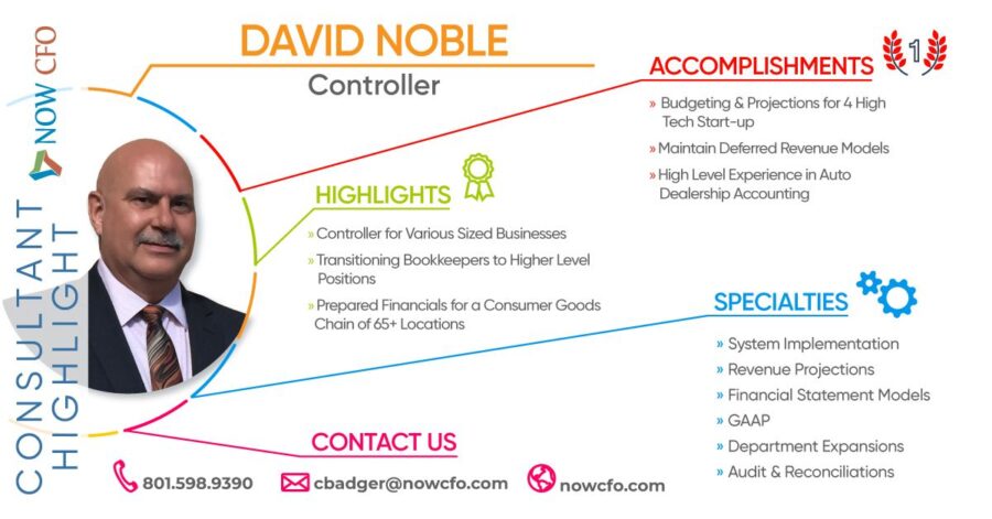 Consultant Highlight David Noble