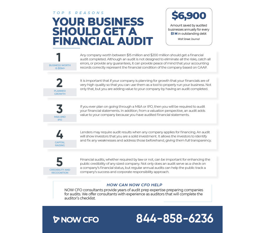 5 Reasons Your Business Should Get a Financial Audit One Sheet